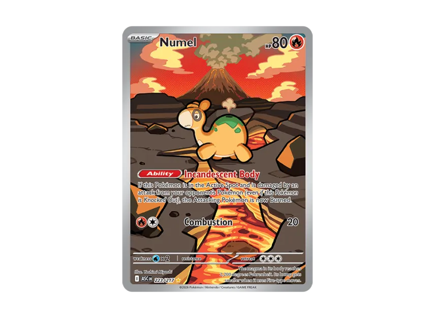 Numel IR [ASC 223/217] [EN] (Mega Evolution "Ascended Heroes")