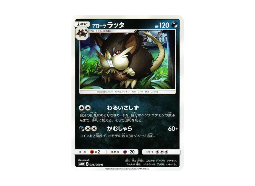 AlolanRaticate U [SM1M 036/060] (Expansion Pack "Collection Moon")