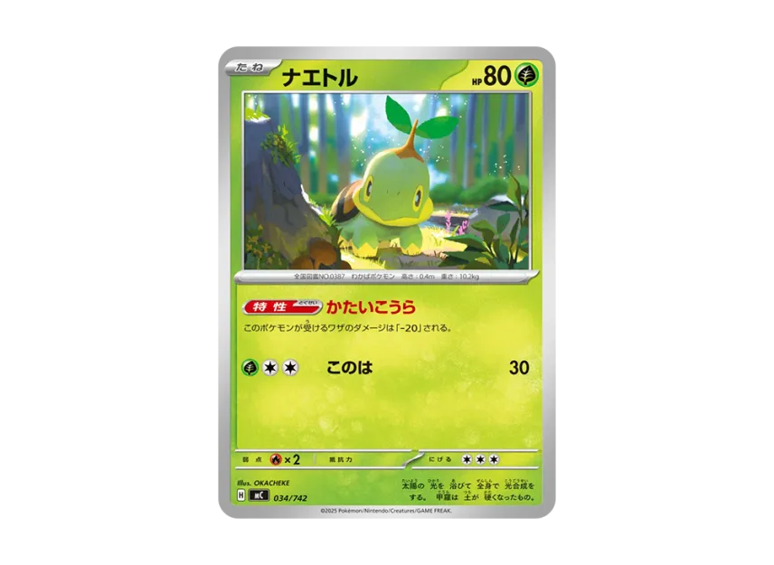 Turtwig [MC 034/742] (Start Deck 100 "Battle Collection")
