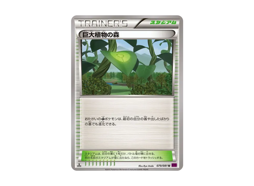 Forest of Giant Plants U : 1ED [XY7 079/081] (Expansion Pack "Bandit Ring")