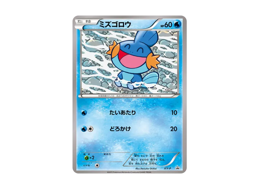 Mudkip P [XY-P] (Promotional Cards "Pokemon Art Academy Illustration Contest Winning Works Card")