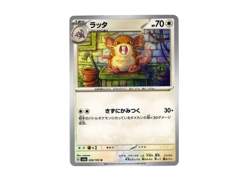 Raticate U [SV2A 020/165] (Enhanced Expansion Pack "Pokemon Card 151")