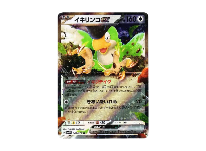 Squawkabilly ex RR [SV2P 065/071] (Expansion Pack "Snow hazard")