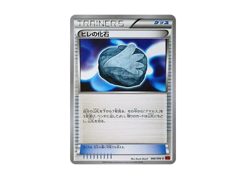 Fin Fossil C : 1ED [XY3 086/096] (Expansion Pack "Rising Fist")