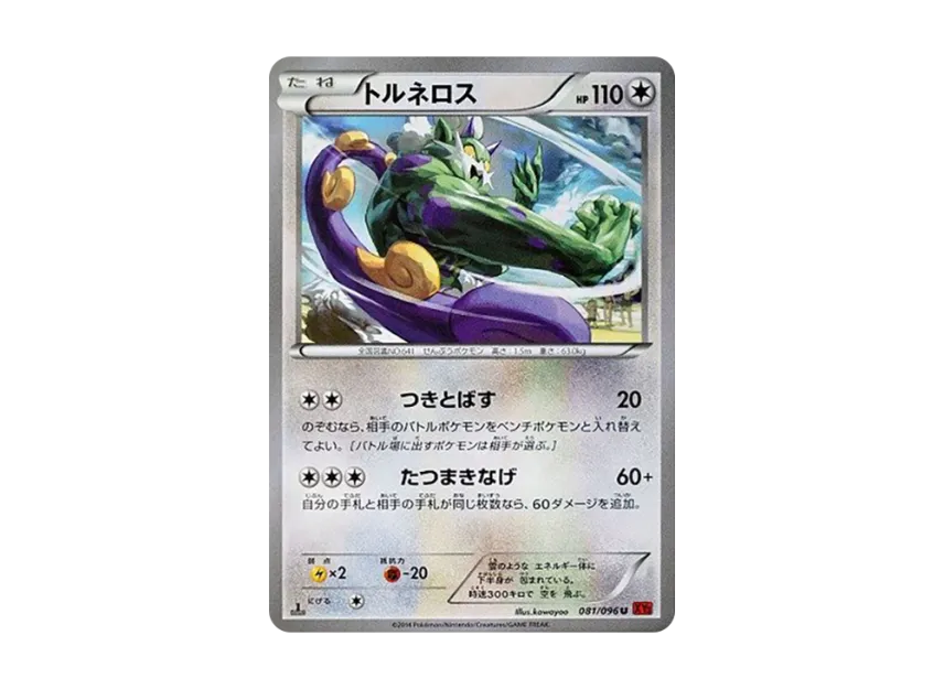 Tornadus U [XY3 081/096] (Expansion Pack "Rising Fist")