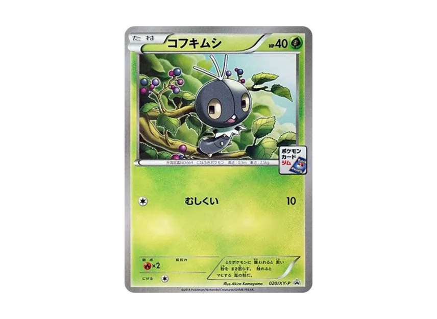 Scatterbug P [XY-P 020] (Promo Card Pack "First Installment")