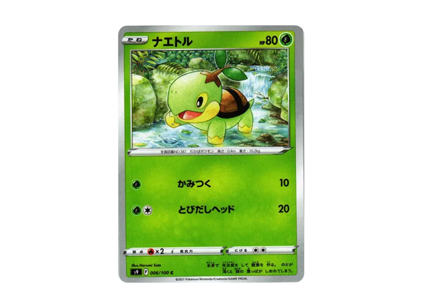 Turtwig C [S9 006/100] (Expansion Pack "Star Birth")