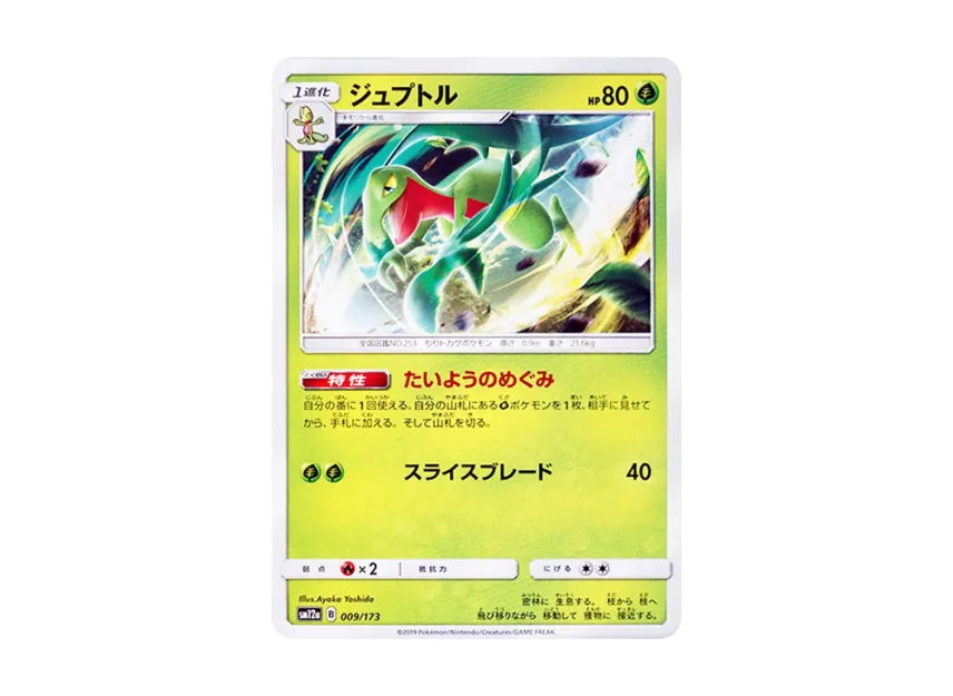 Grovyle [SM12A 009/173] (High Class Pack "TAG TEAM GX Tag All Stars")