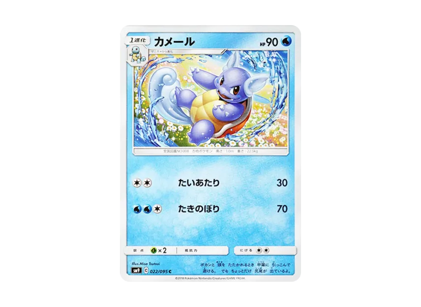 Wartortle C [SM9 022/095] (Expansion Pack "Tag Bolt")