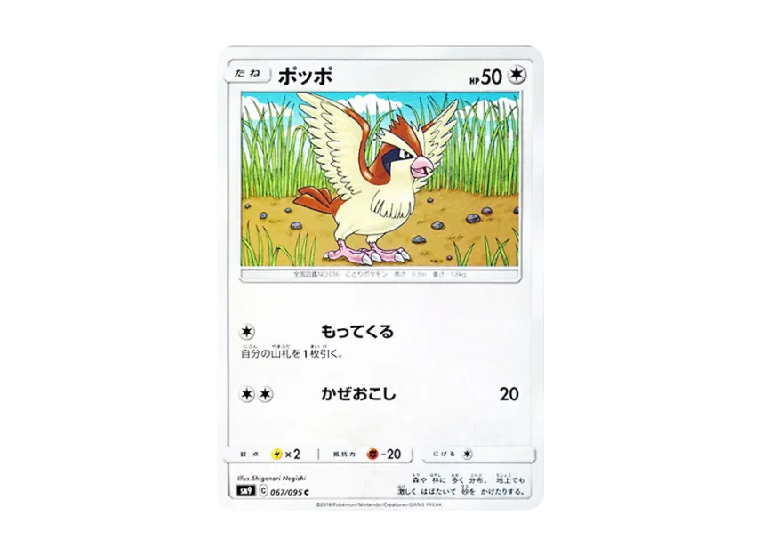 Pidgey C [SM9 067/095] (Expansion Pack "Tag Bolt")