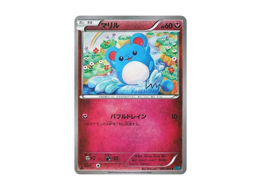 Marill C : 1ED [XY11 036/054] (Expansion Pack "Cold Rebel")