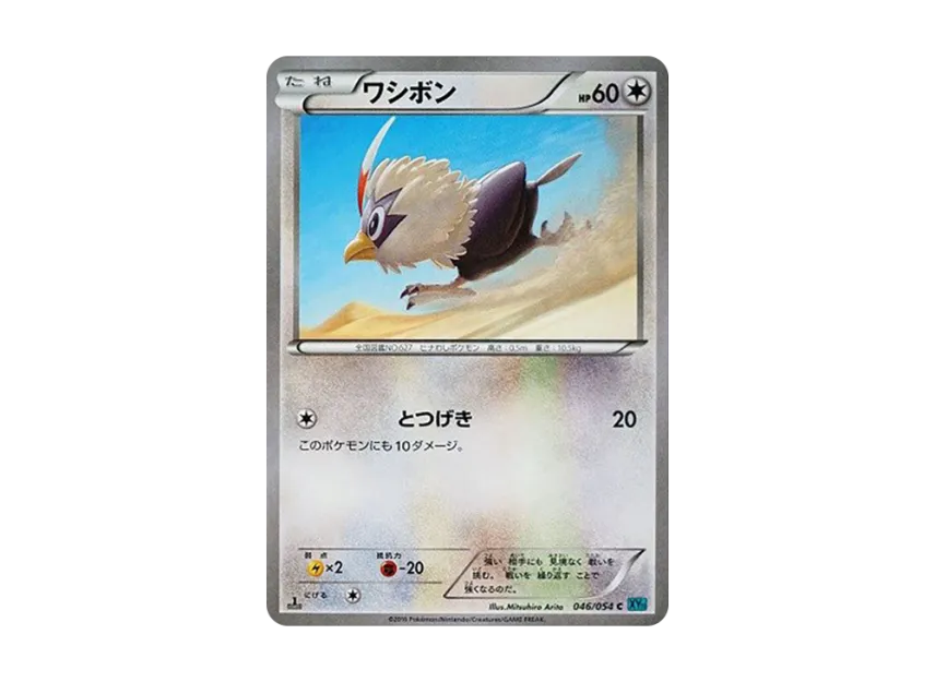 Rufflet C : 1ED [XY11 046/054] (Expansion Pack "Cold Rebel")