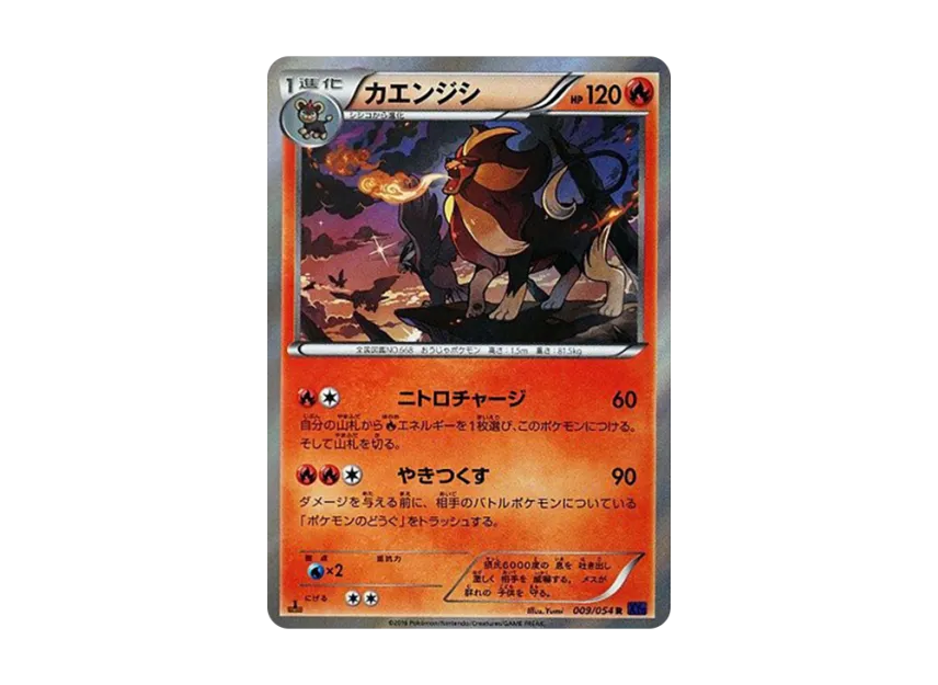 Pyroar R : 1ED [XY11 009/054] (Expansion Pack "Explosive Warrior")