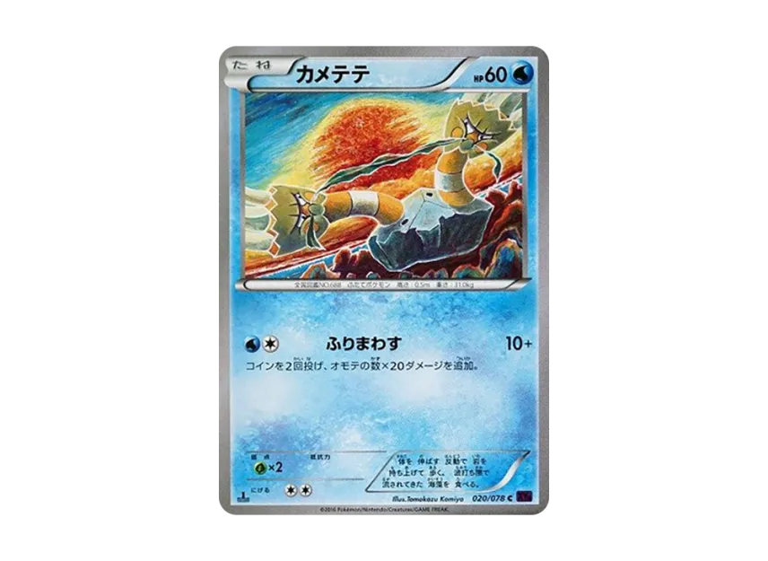 Binacle C : 1ED [XY10 020/078] (Expansion Pack "Fates Collide")