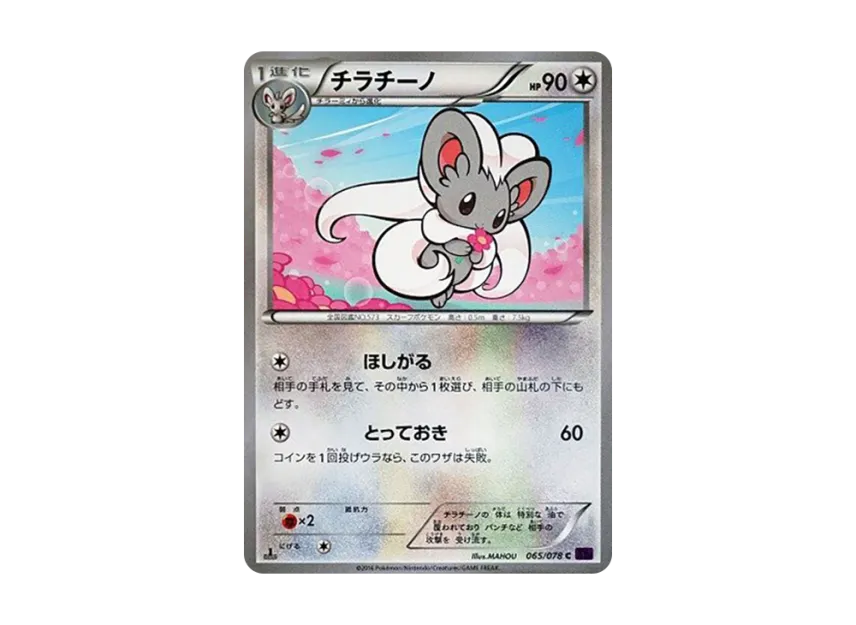 Cinccino C : 1ED [XY10 065/078] (Expansion Pack "Fates Collide")