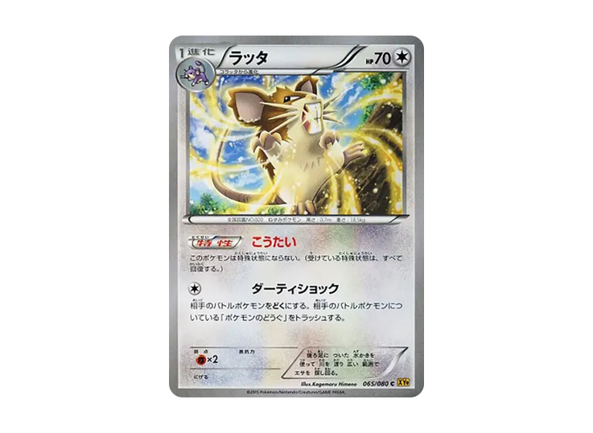 Raticate C [XY9 065/080] (Expansion Pack "Anger of Heaven")