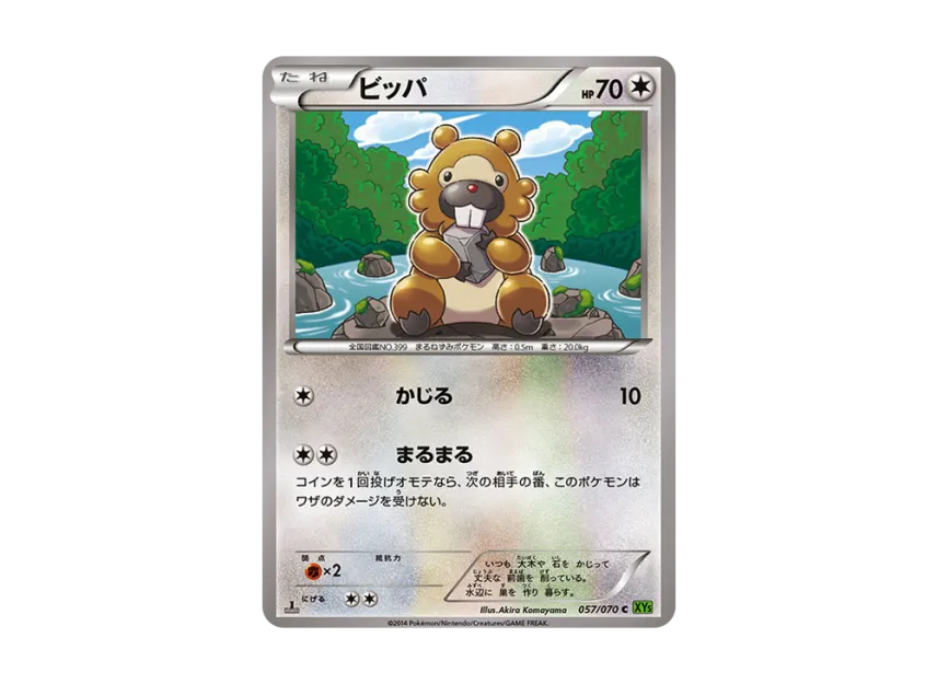Bidoof C : 1ED [XY5-TIDAL-STORM 057/070] (Expansion Pack "Tidal Storm")