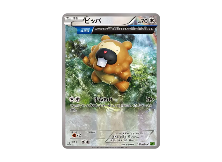 Bidoof C : 1ED [XY5-TIDAL-STORM 058/070] (Expansion Pack "Tidal Storm")