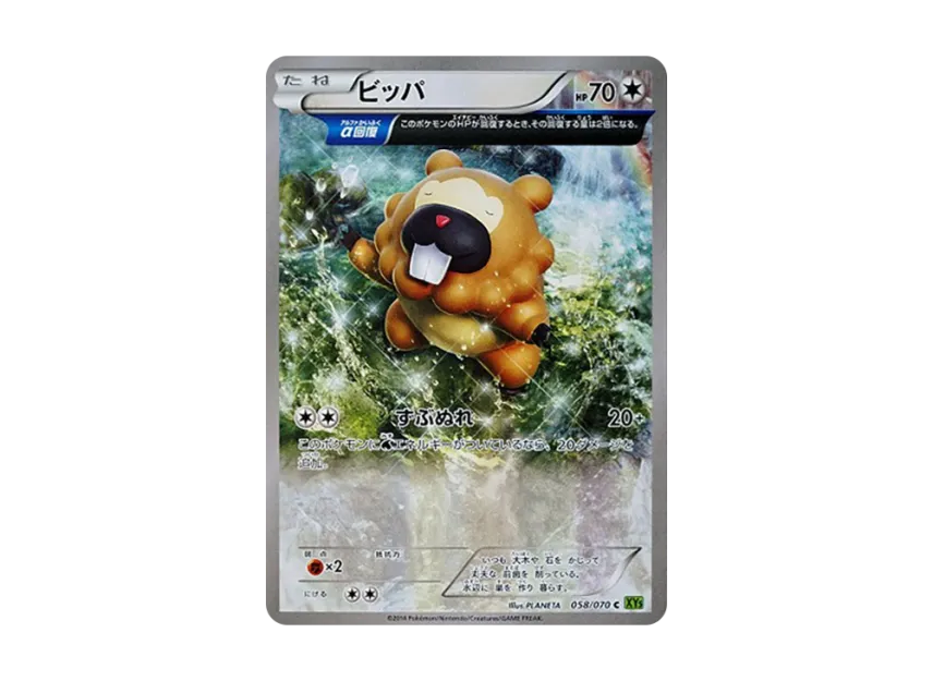 Bidoof C [XY5-TIDAL-STORM 058/070] (Expansion Pack "Tidal Storm")