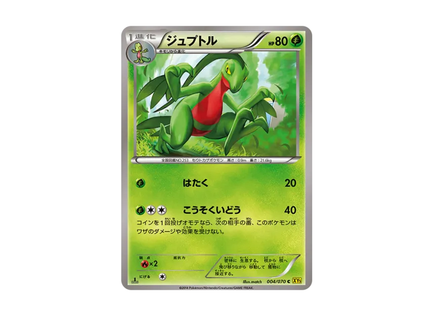 Grovyle C : 1ED [XY5-GAIA-VOLCANO 004/070] (Expansion Pack "Gaia Volcano")