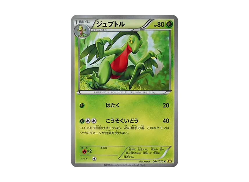Grovyle C [XY5-GAIA-VOLCANO 004/070] (Expansion Pack "Gaia Volcano")