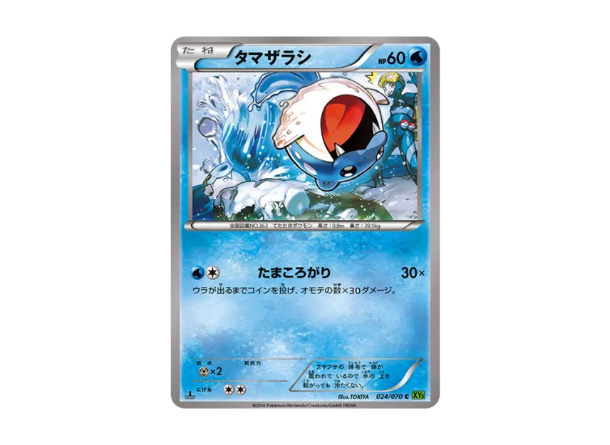 Spheal C : 1ED [XY5-TIDAL-STORM 024/070] (Expansion Pack "Tidal Storm")