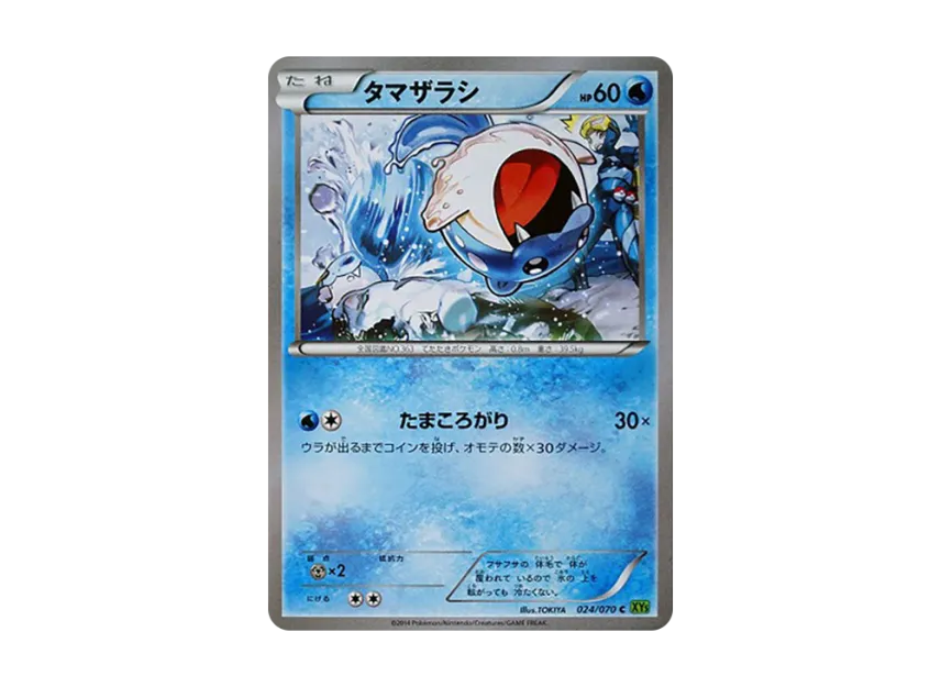 Spheal C [XY5-TIDAL-STORM 024/070] (Expansion Pack "Tidal Storm")