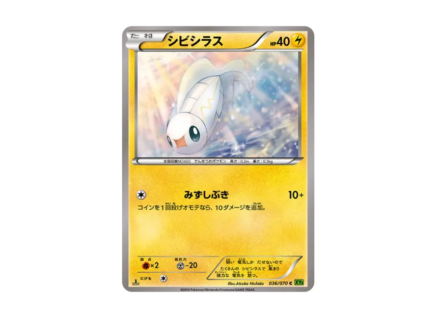 Tynamo C : 1ED [XY5-TIDAL-STORM 036/070] (Expansion Pack "Tidal Storm")