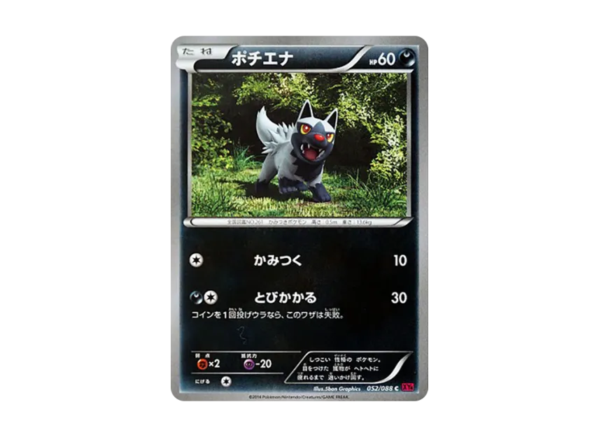 Poochyena C [XY4 052/088] (Expansion Pack "Phantom Gate")