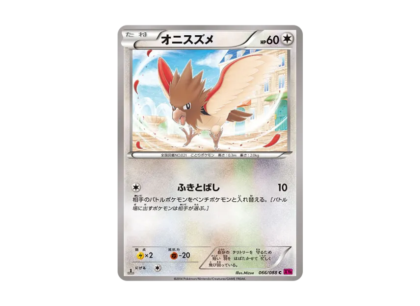 Spearow C : 1ED [XY4 066/088] (Expansion Pack "Phantom Gate")