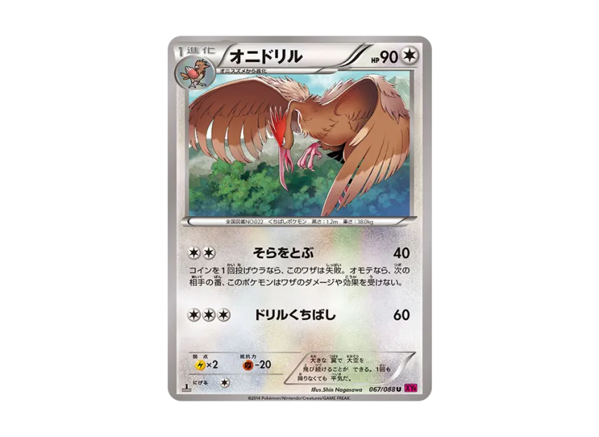 Fearow U : 1ED [XY4 067/088] (Expansion Pack "Phantom Gate")