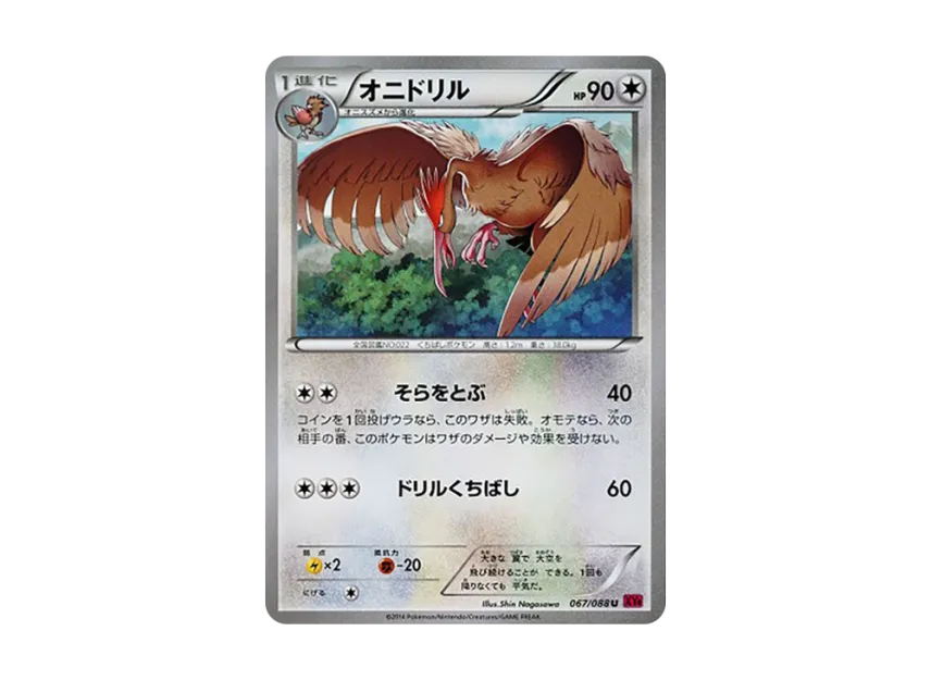 Fearow U [XY4 067/088] (Expansion Pack "Phantom Gate")