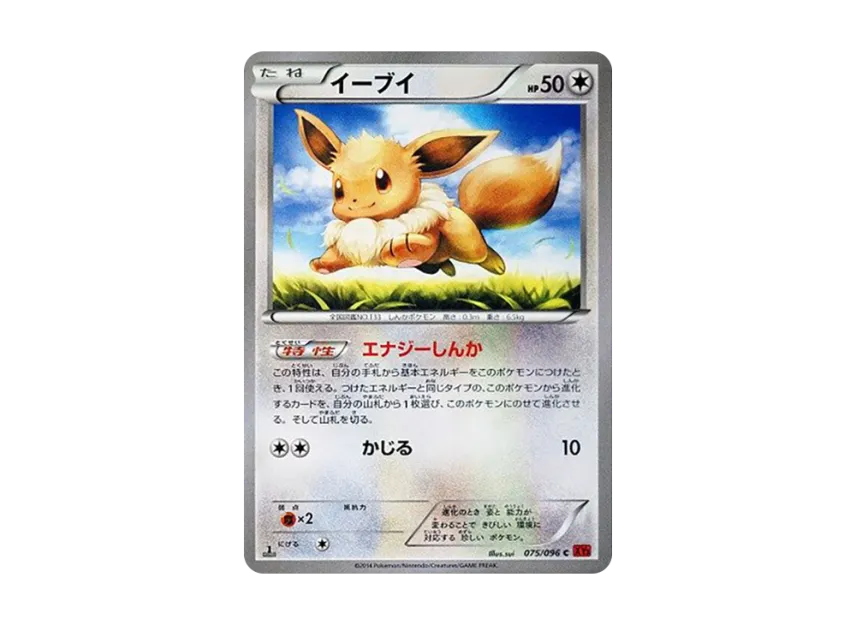 Eevee C : 1ED [XY3 075/096] (Expansion Pack "Rising Fist")