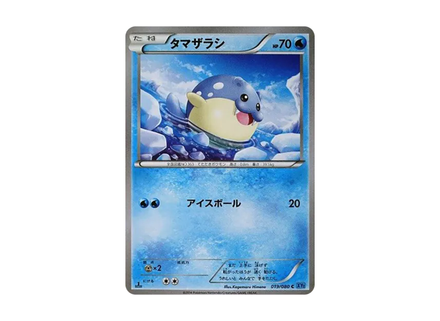 Spheal C : 1ED [XY2 019/080] (Expansion Pack "Wild Blaze")