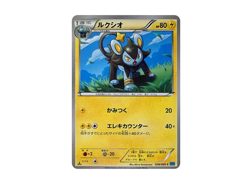 Luxio C : 1ED [XY2 028/080] (Expansion Pack "Wild Blaze")