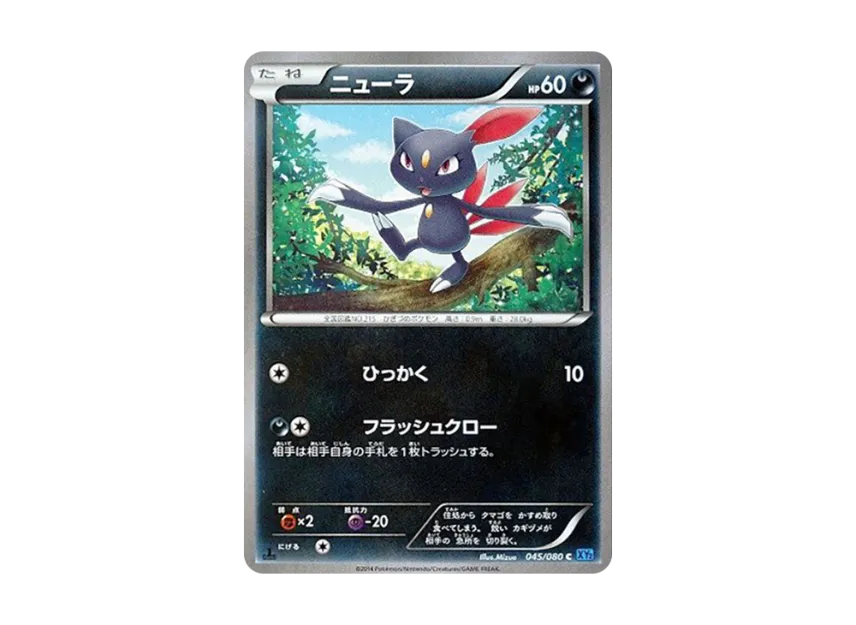 Sneasel C : 1ED [XY2 045/080] (Expansion Pack "Wild Blaze")