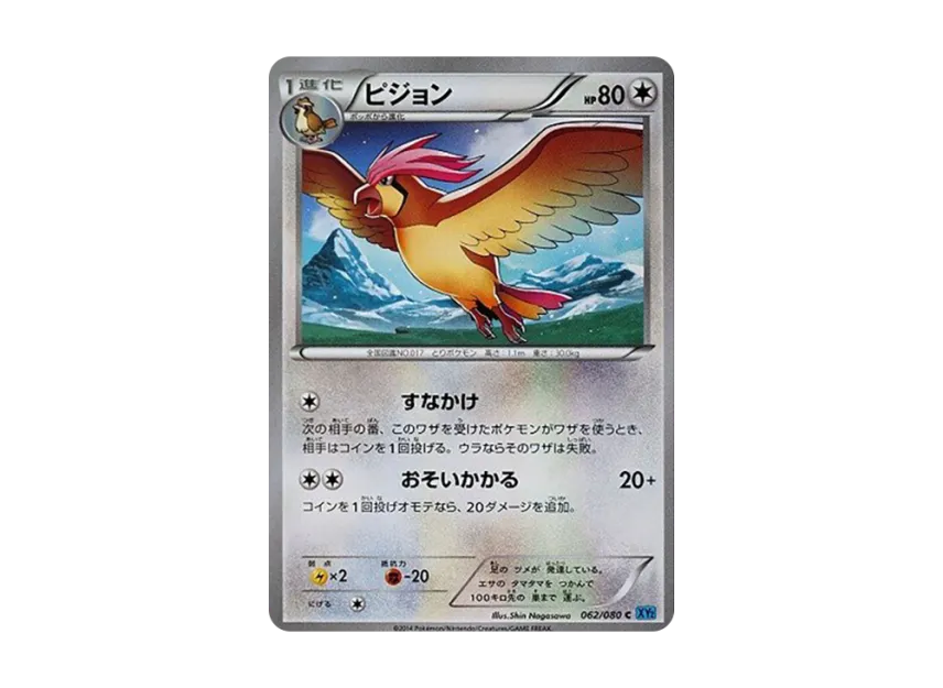 Pidgeotto C [XY2 062/080] (Expansion Pack "Wild Blaze")