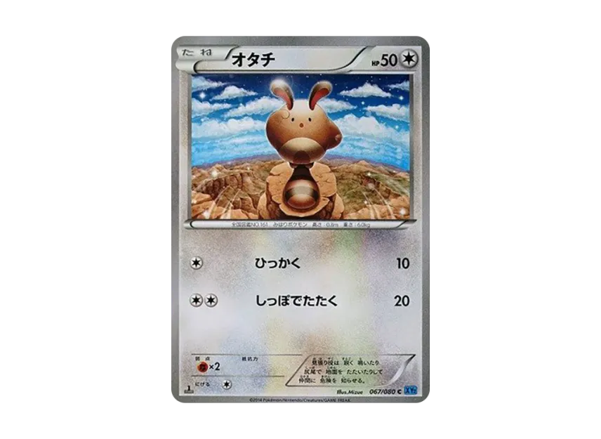 Sentret C : 1ED [XY2 067/080] (Expansion Pack "Wild Blaze")