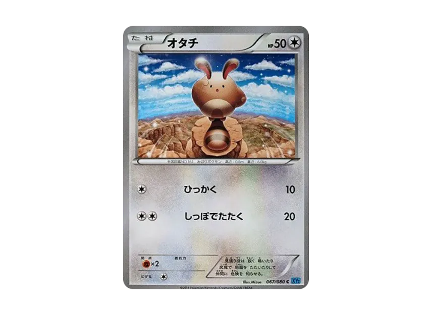 Sentret C [XY2 067/080] (Expansion Pack "Wild Blaze")