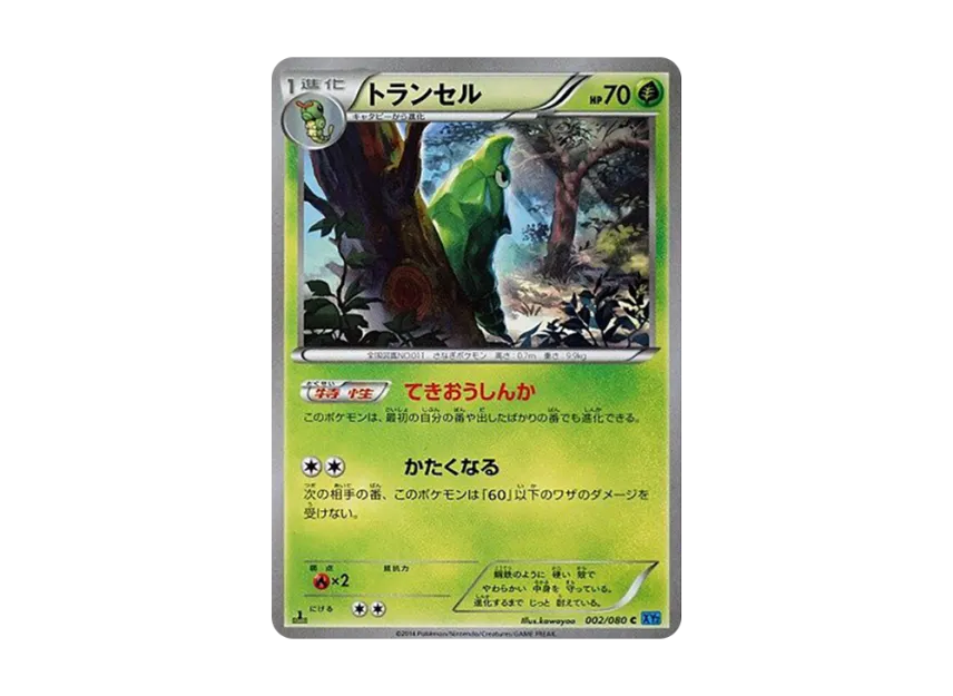 Metapod C : 1ED [XY2 002/080] (Expansion Pack "Wild Blaze")