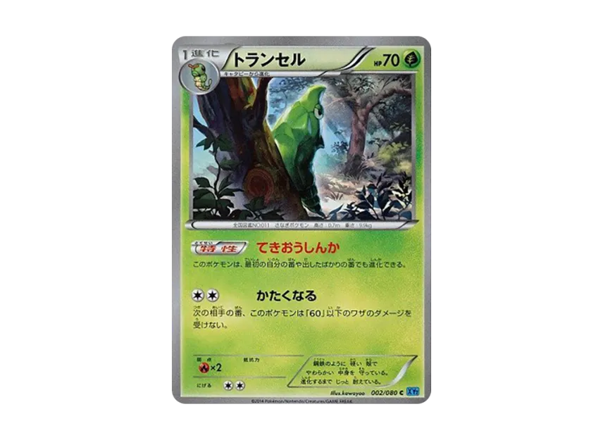 Metapod C [XY2 002/080] (Expansion Pack "Wild Blaze")