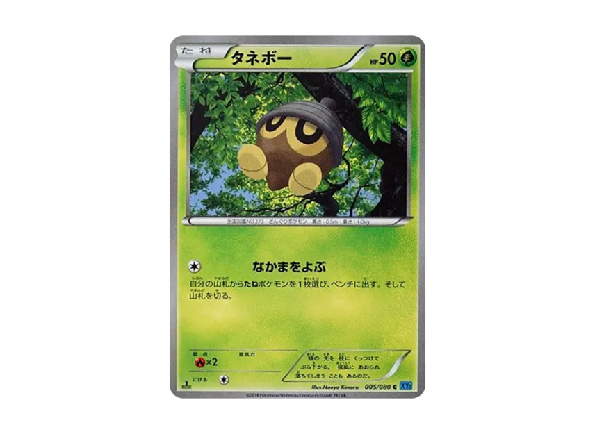Seedot C : 1ED [XY2 005/080] (Expansion Pack "Wild Blaze")