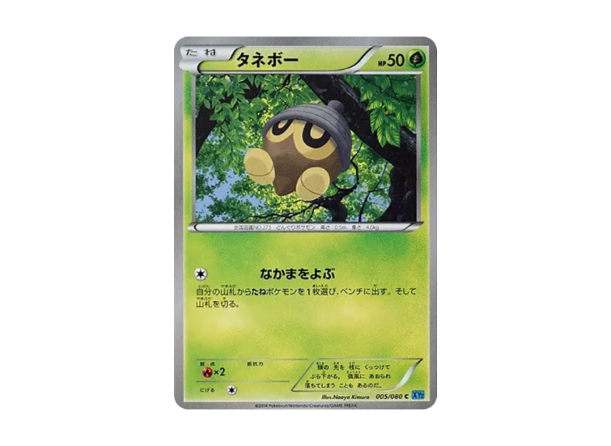 Seedot C [XY2 005/080] (Expansion Pack "Wild Blaze")