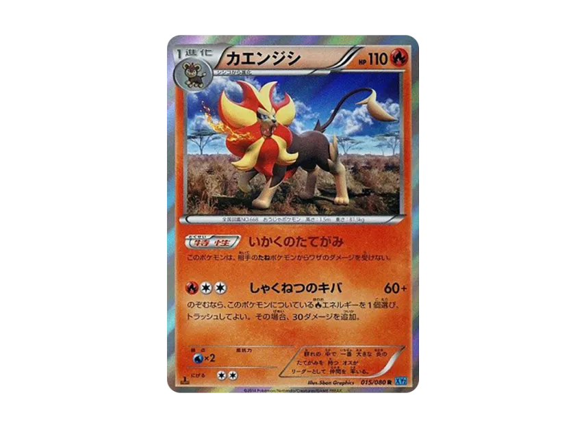 Pyroar R : 1ED [XY2 015/080] (Expansion Pack "Wild Blaze")