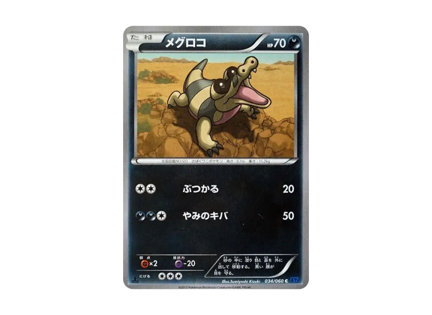 Sandile C : 1ED [XY1-COLLECTION-X 034/060] (Expansion Pack "Collection X")