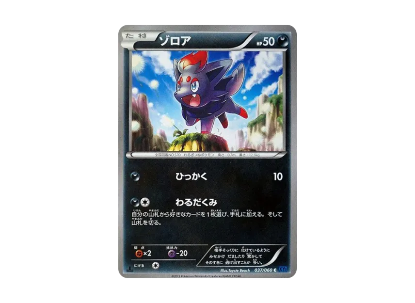 Zorua C : 1ED [XY1-COLLECTION-X 037/060] (Expansion Pack "Collection X")