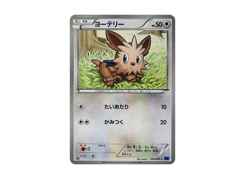Lillipup C : 1ED [XY1-COLLECTION-X 049/060] (Expansion Pack "Collection X")