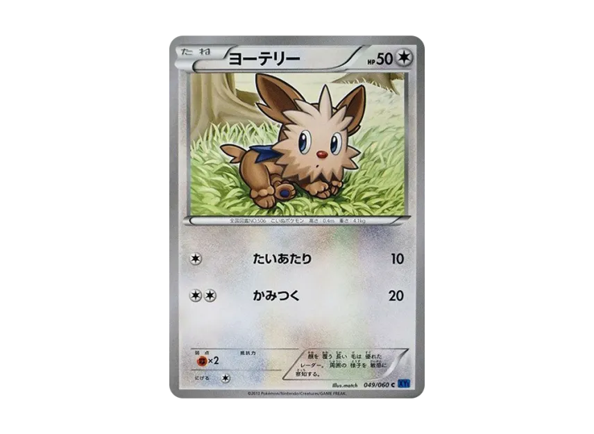 Lillipup C [XY1-COLLECTION-X 049/060] (Expansion Pack "Collection X")