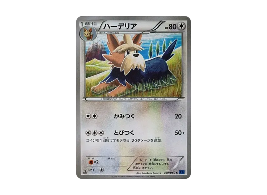Herdier C : 1ED [XY1-COLLECTION-X 050/060] (Expansion Pack "Collection X")
