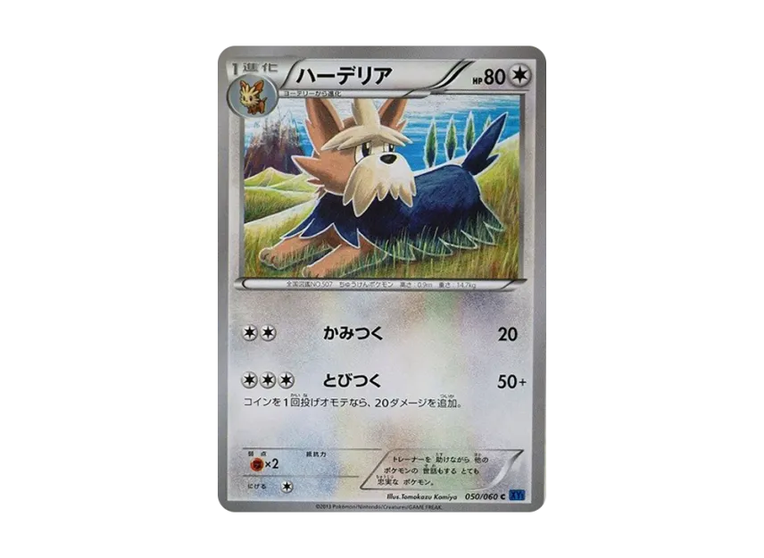 Herdier C [XY1-COLLECTION-X 050/060] (Expansion Pack "Collection X")